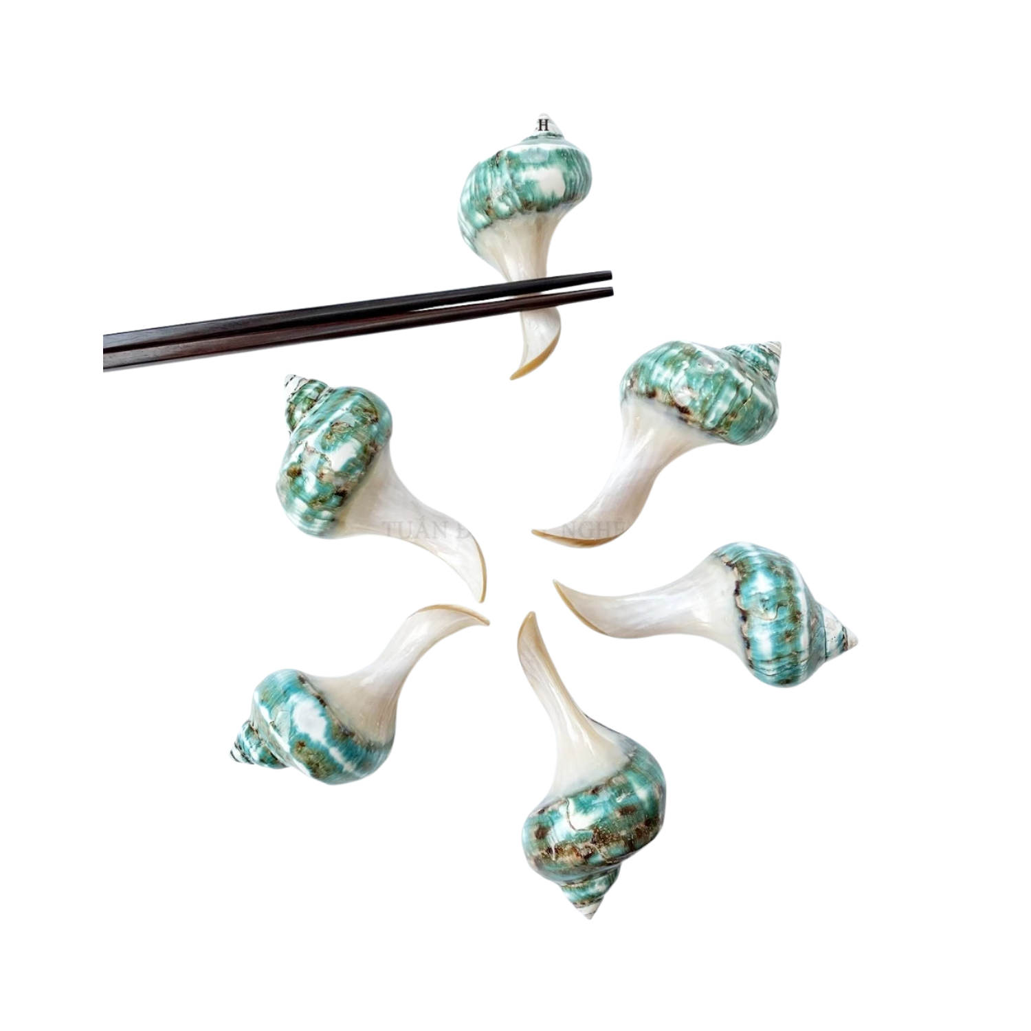 High-Class Seashell Chopstick Rest 4