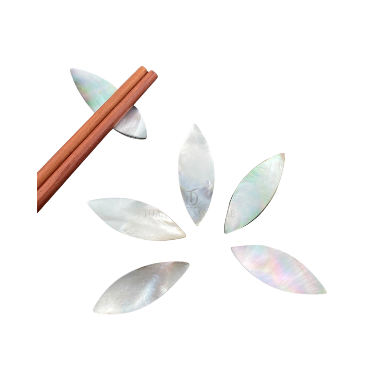 High-Class Seashell Chopstick Rest 5