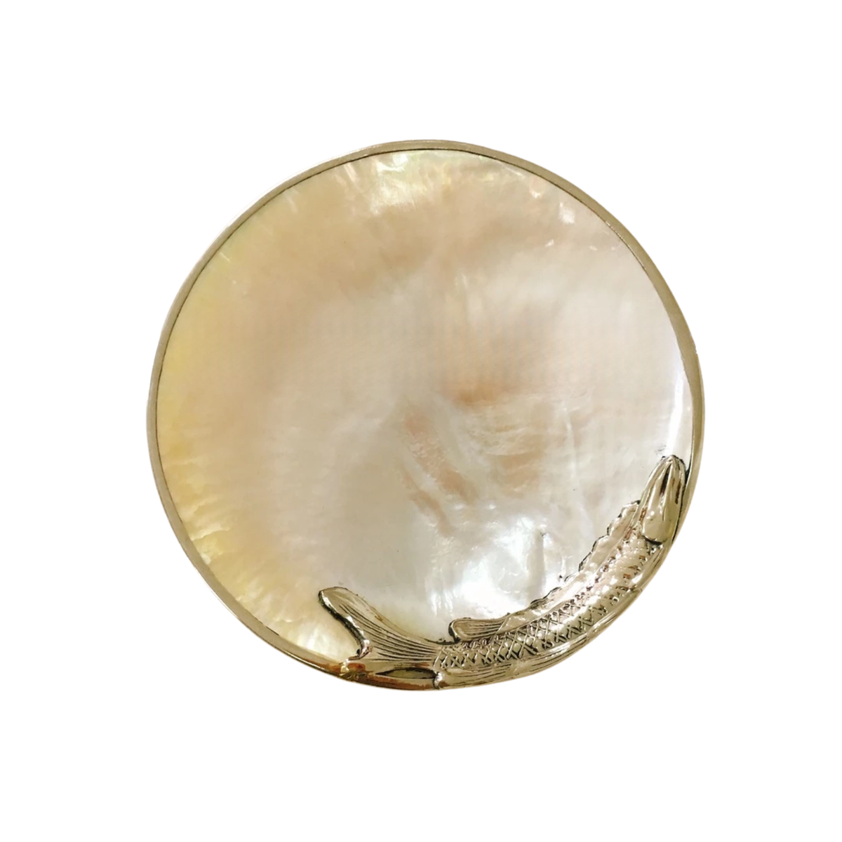 High-End Seashell Plate 2
