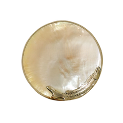 High-End Seashell Plate 2