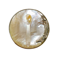 High-End Seashell Plate 2