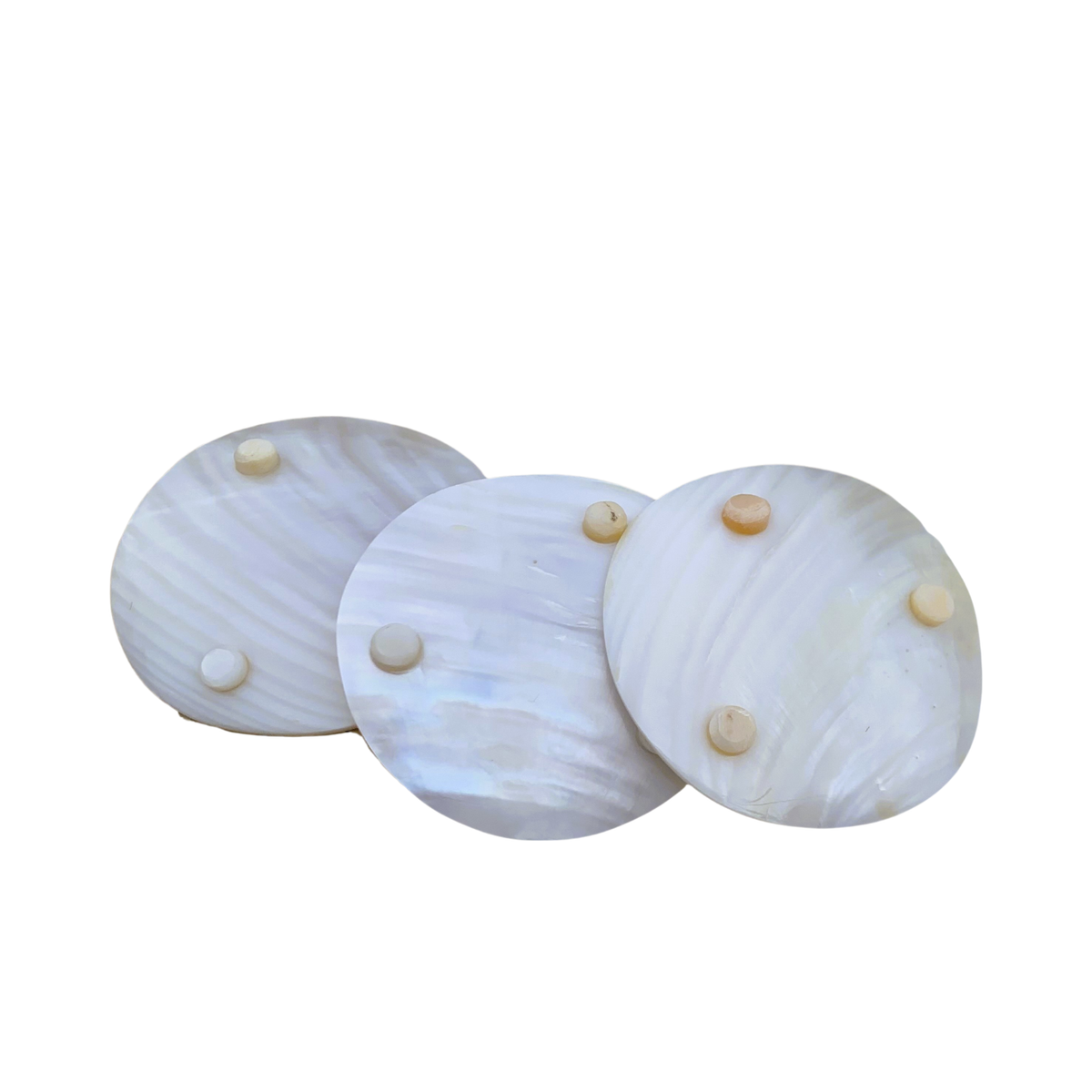 High-End Seashell Plate