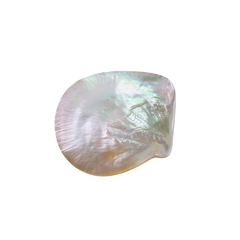 High-End Seashell Plate 1