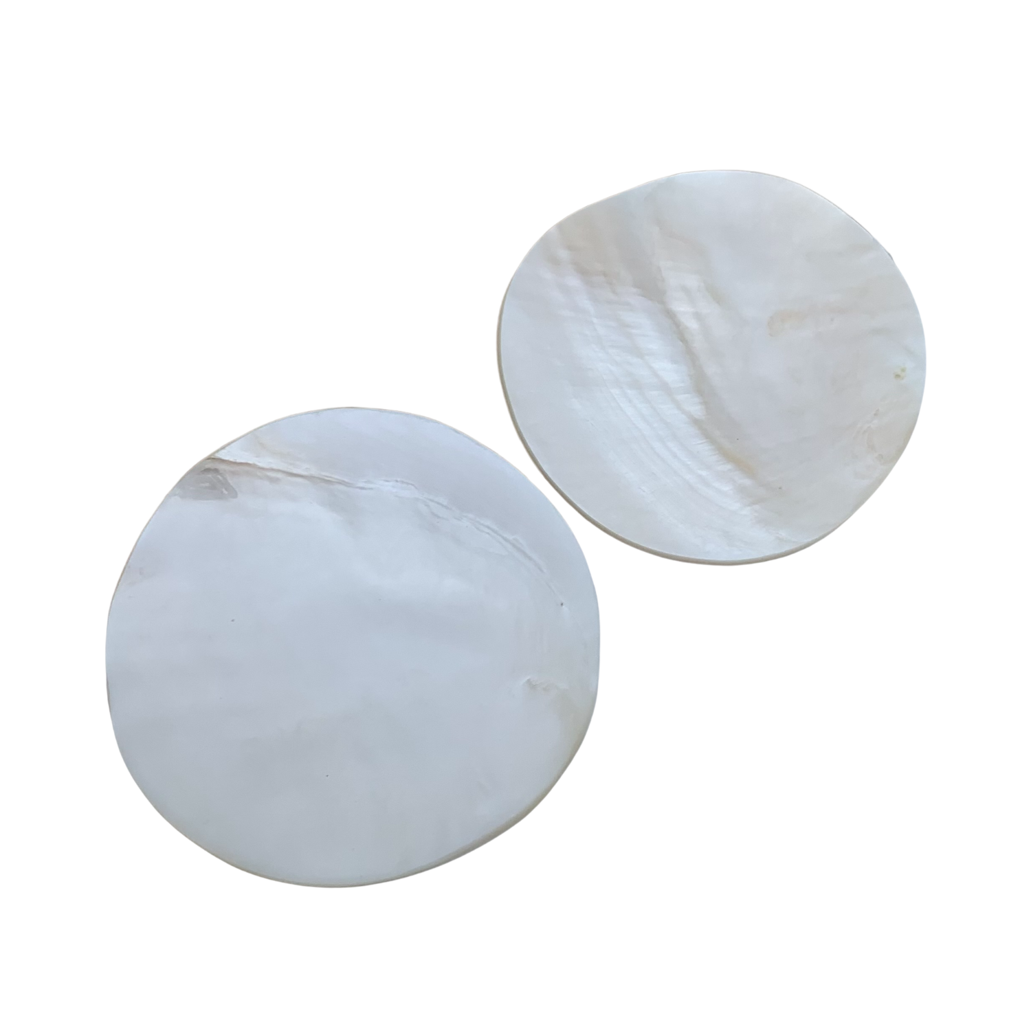 High-End Seashell Plate