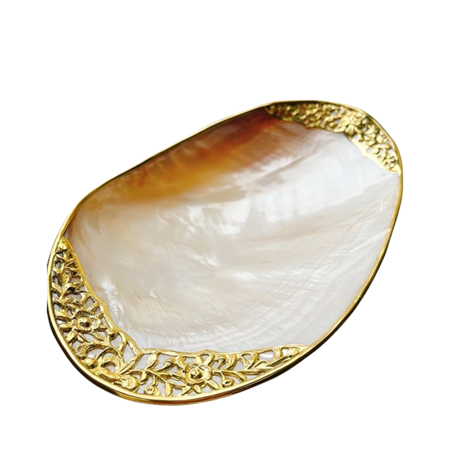 High-End Seashell Plate 3