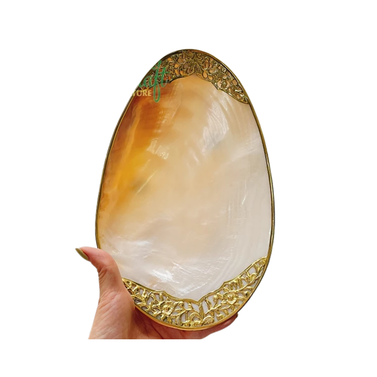 High-End Seashell Plate 3