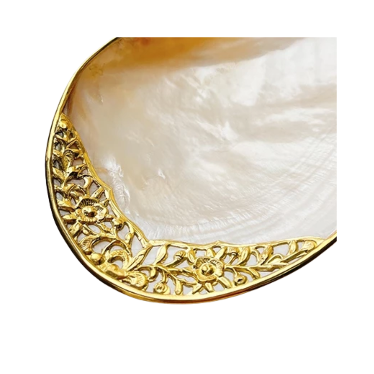 High-End Seashell Plate 3