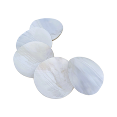 High-End Seashell Plate