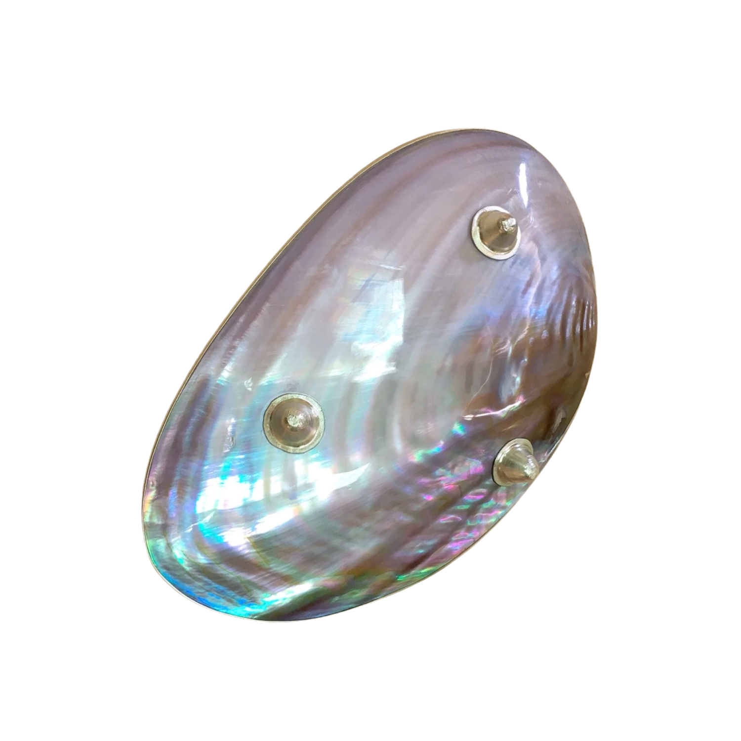 High-End Seashell Plate 4