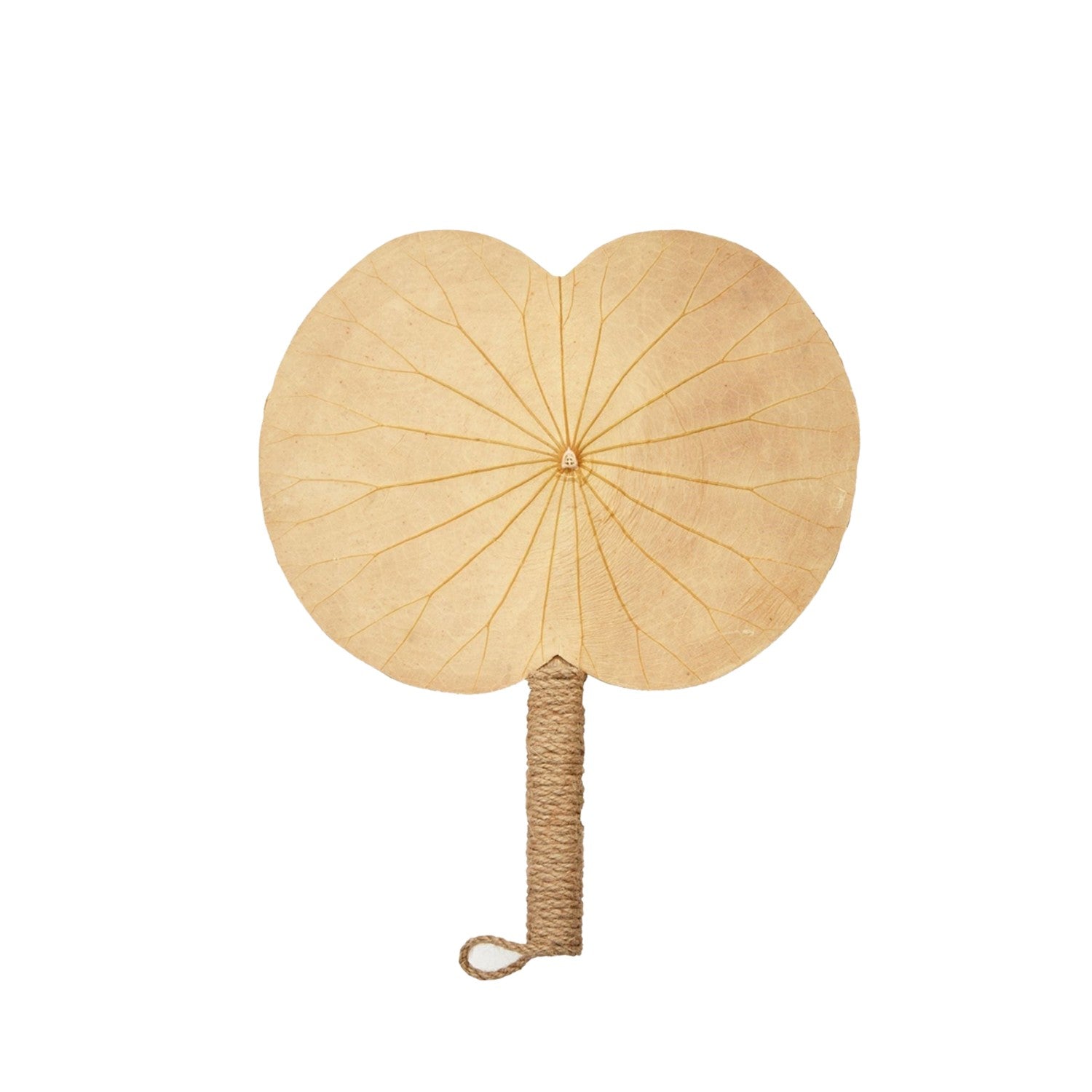 Horizontal Lotus Leaf Handheld Fan