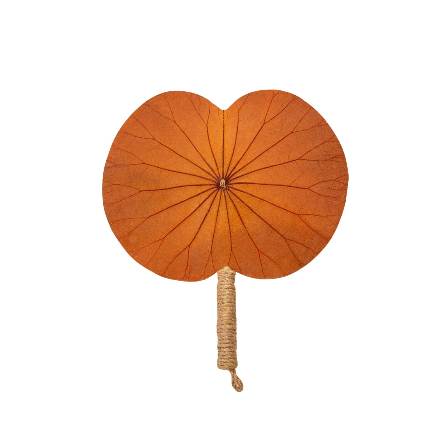 Horizontal Lotus Leaf Handheld Fan