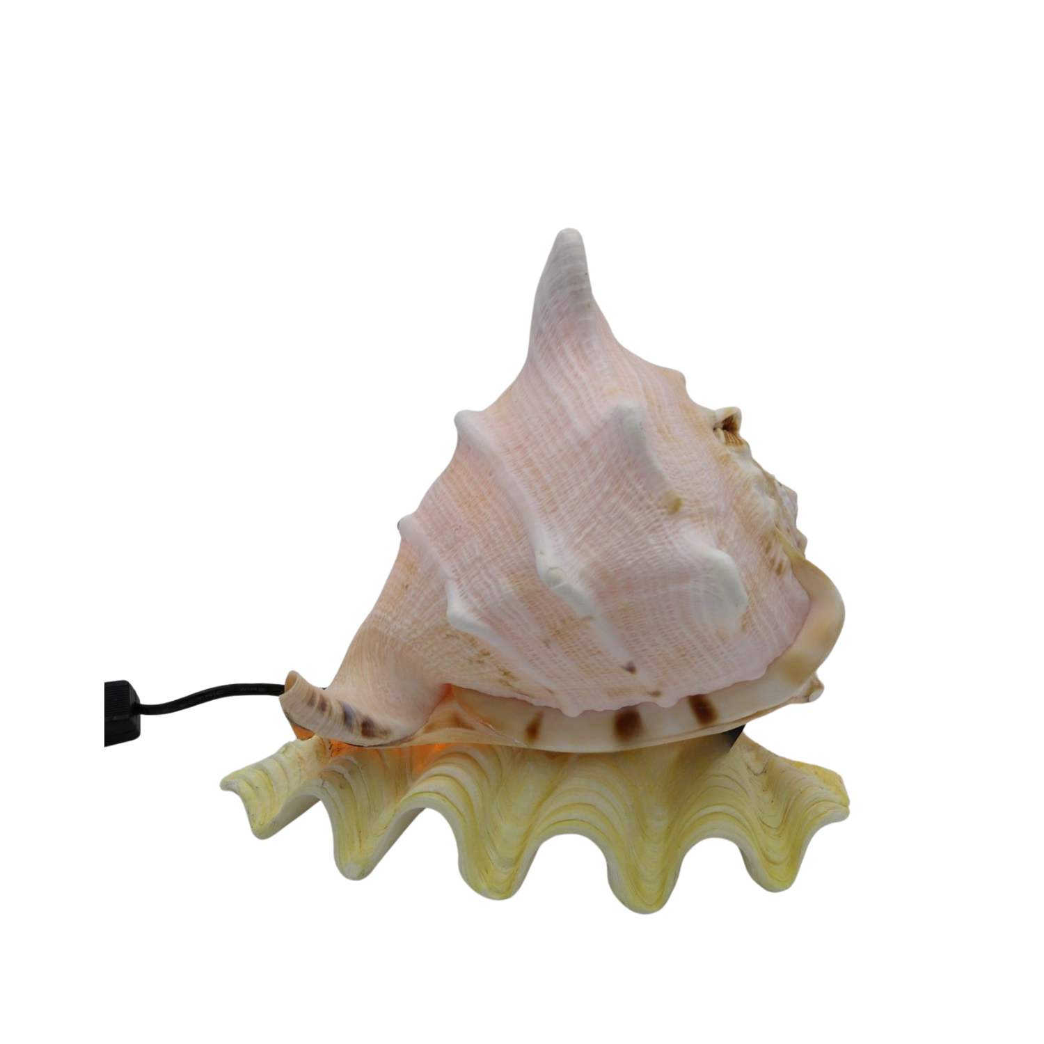 Lamps Made From Seashells 1