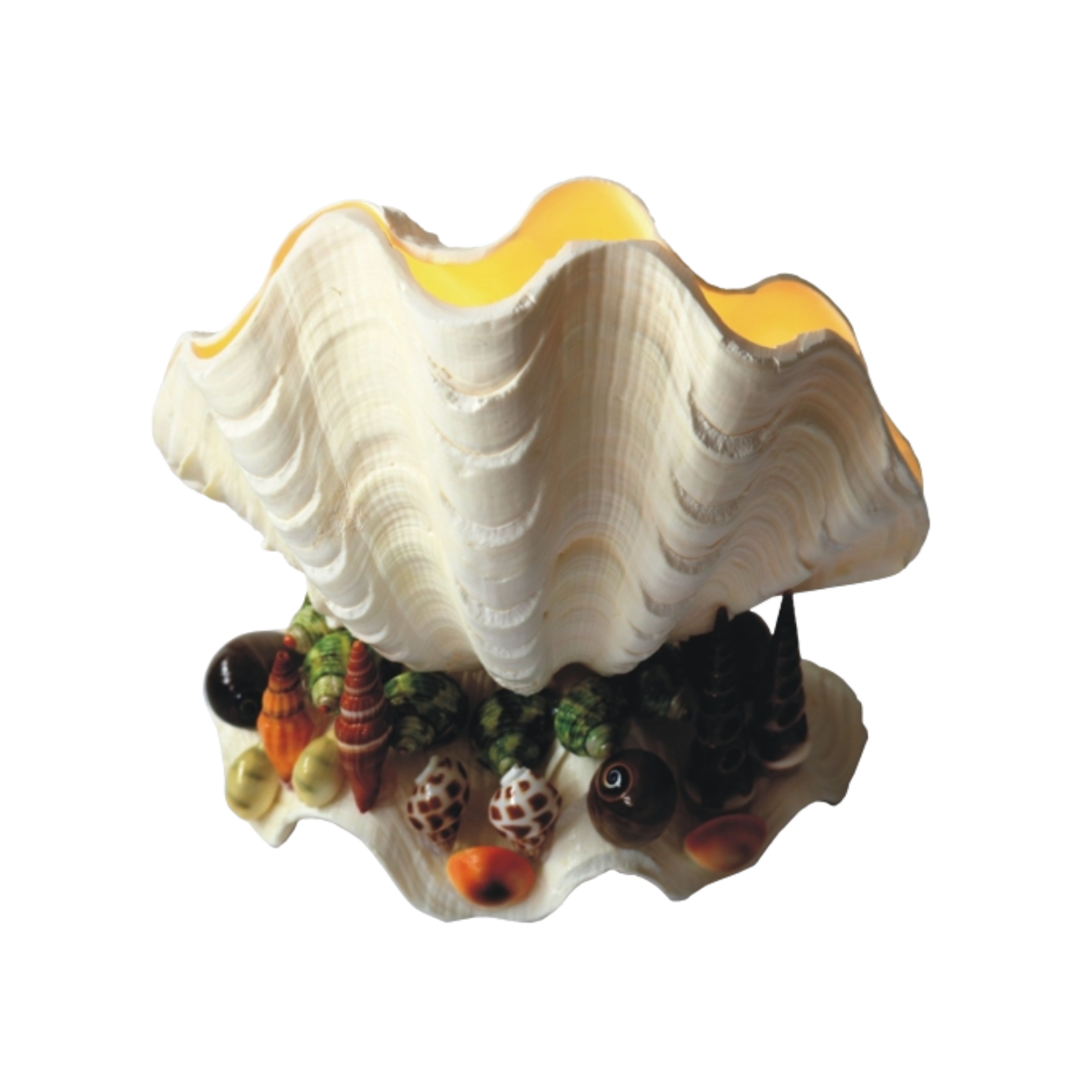 Lamps Made From Seashells 3
