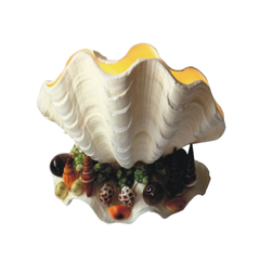 Lamps Made From Seashells 3