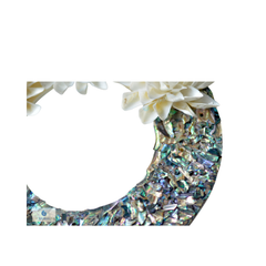 Laurel Wreath Seashell 01