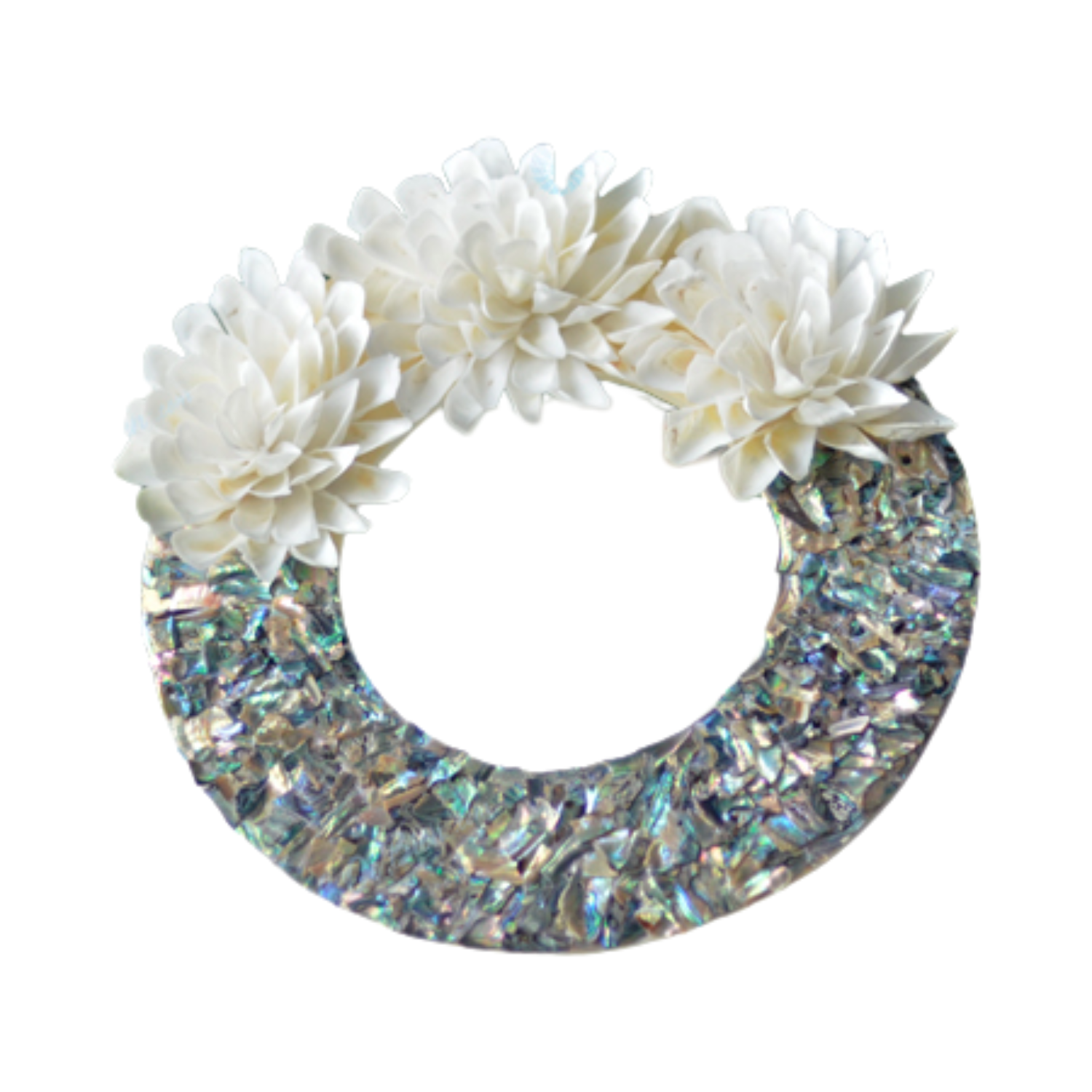 Laurel Wreath Seashell 01