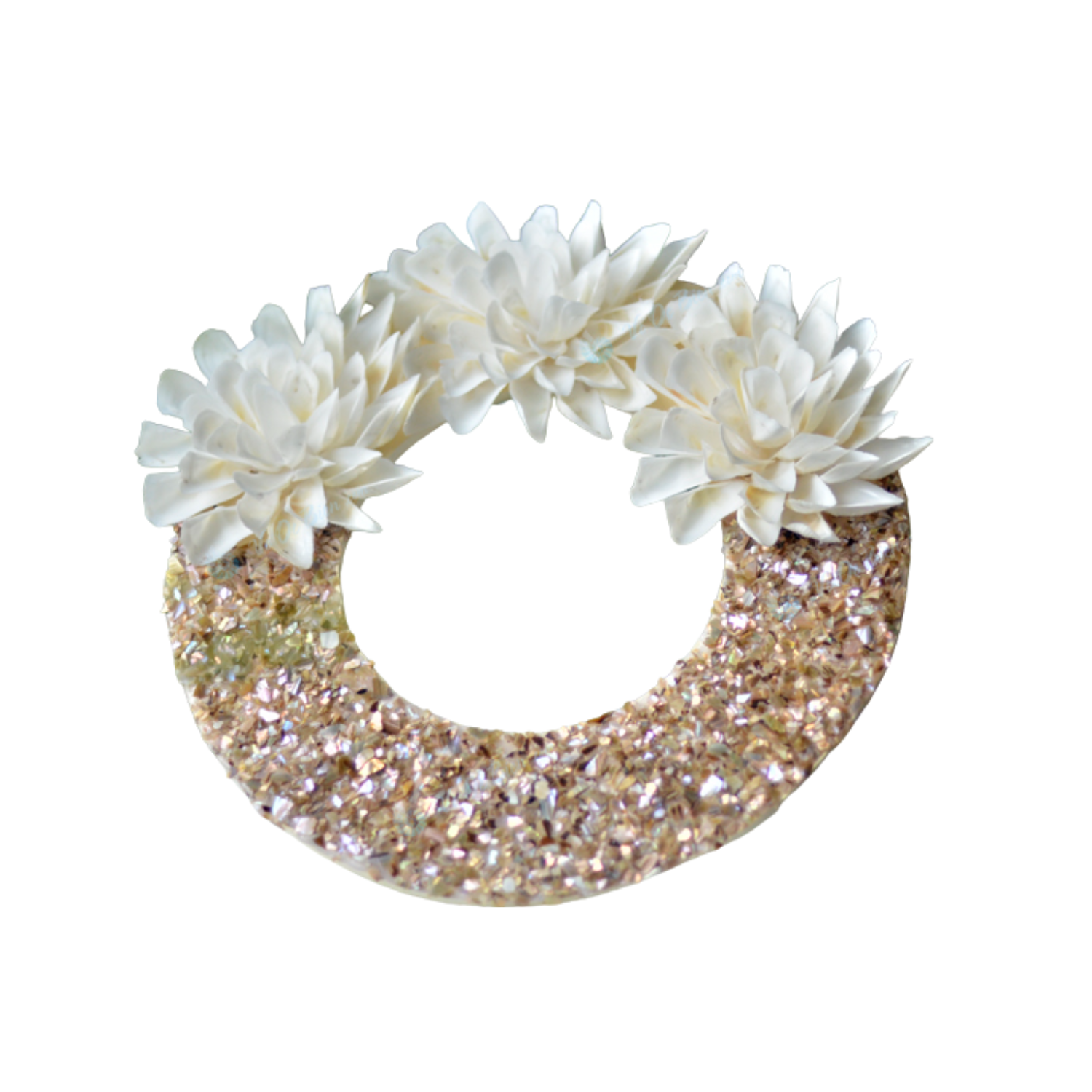 Laurel Wreath Seashell 01
