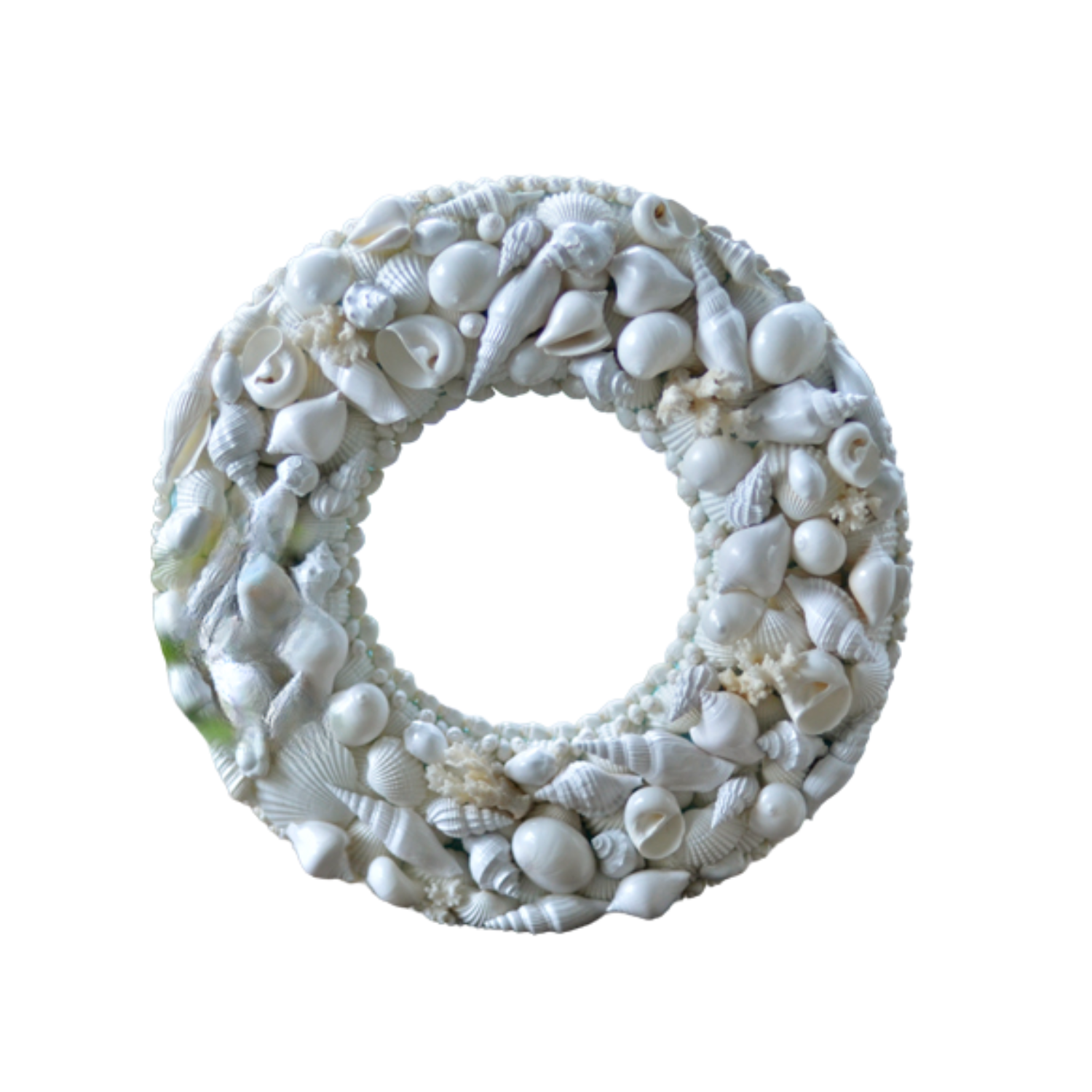 Laurel Wreath Seashell 03