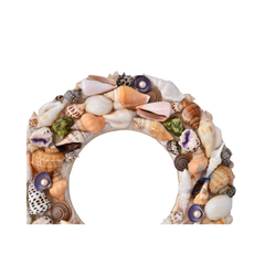 Laurel Wreath Seashell 04
