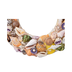 Laurel Wreath Seashell 04
