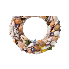 Laurel Wreath Seashell 04