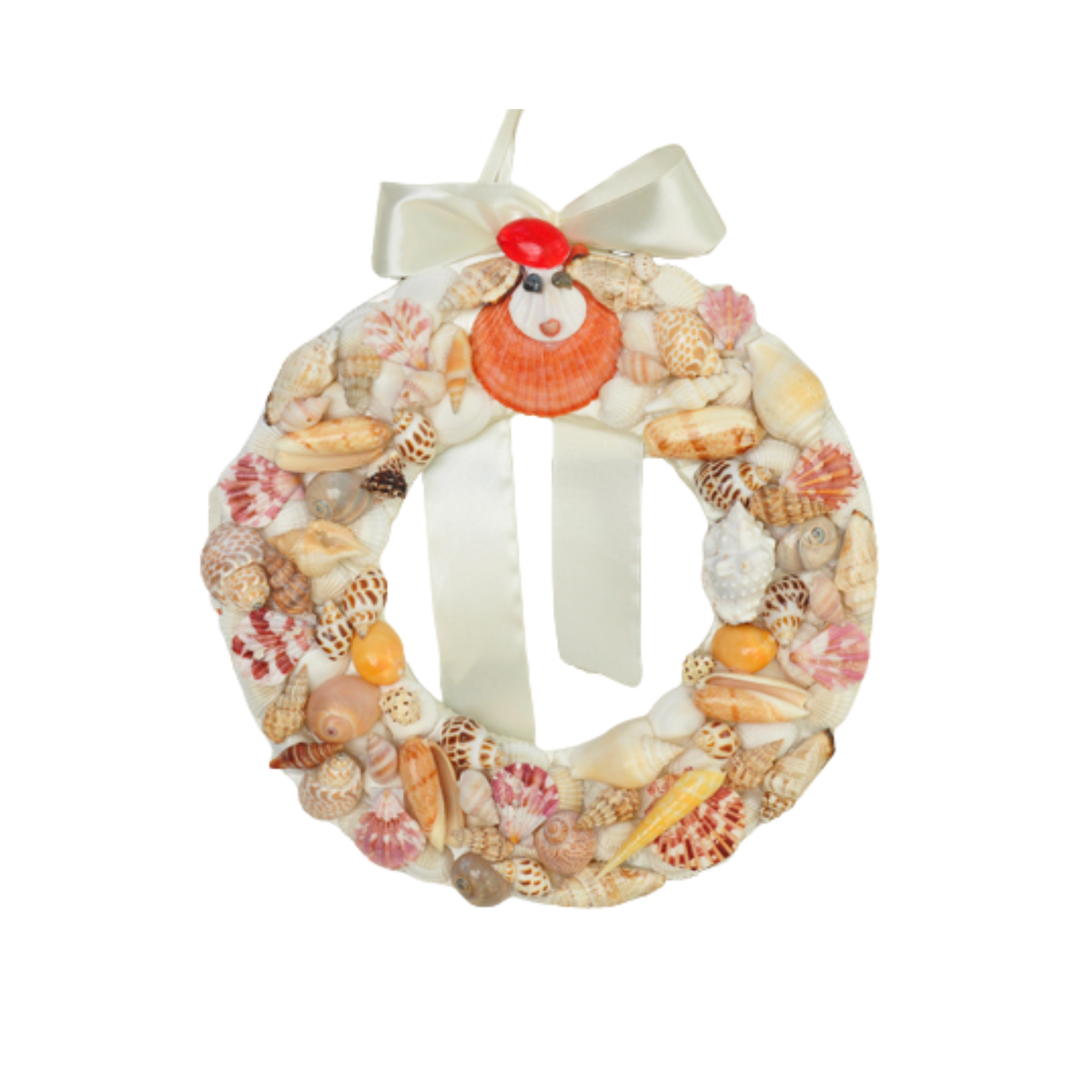 Laurel Wreath Seashell 05