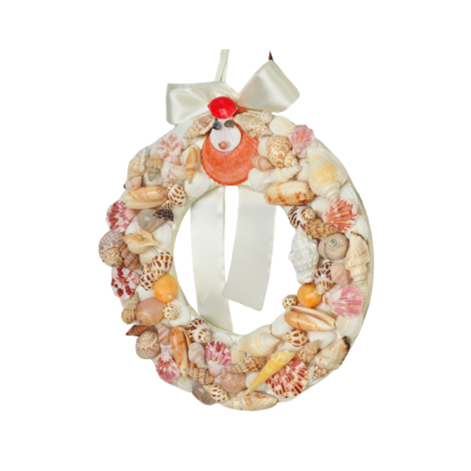 Laurel Wreath Seashell 05