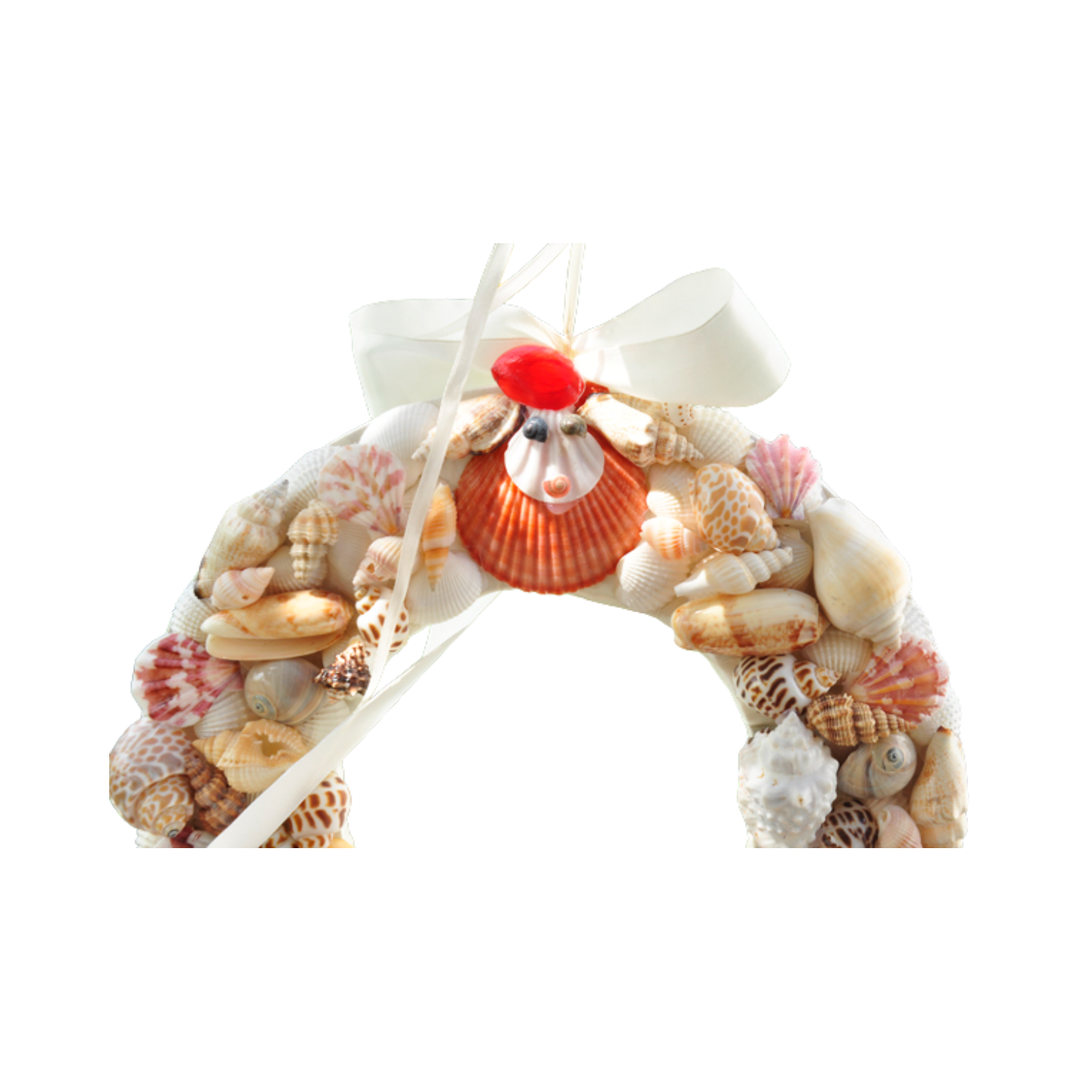 Laurel Wreath Seashell 05