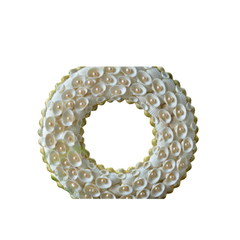 Laurel Wreath Seashell