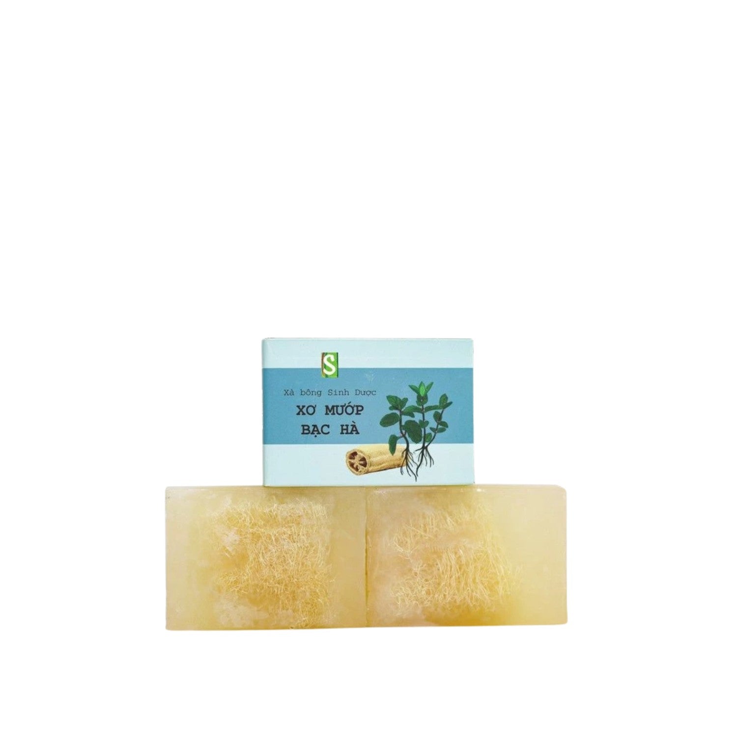 Loofah Mint Soap