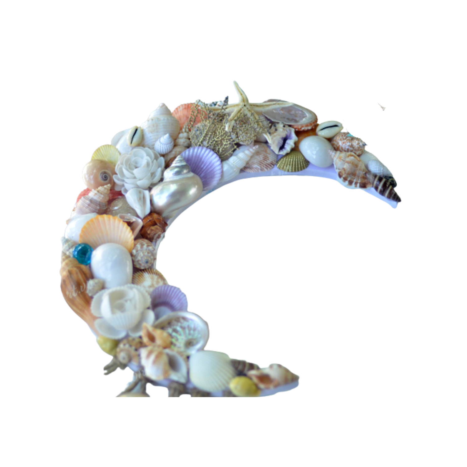 Moon Painting From Seashell