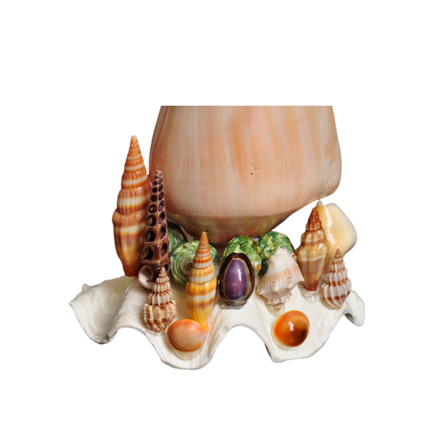 Mushroom Night Light From Seashell