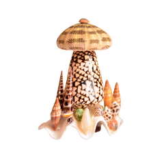 Mushroom Night Light From Seashell 1