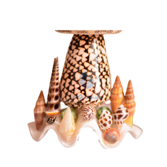 Mushroom Night Light From Seashell 1
