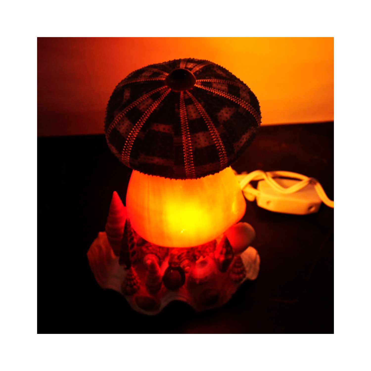 Mushroom Night Light From Seashell