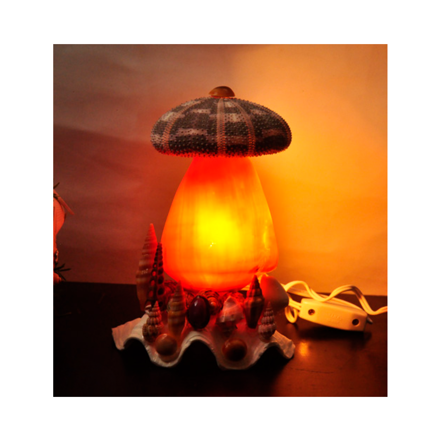 Mushroom Night Light From Seashell