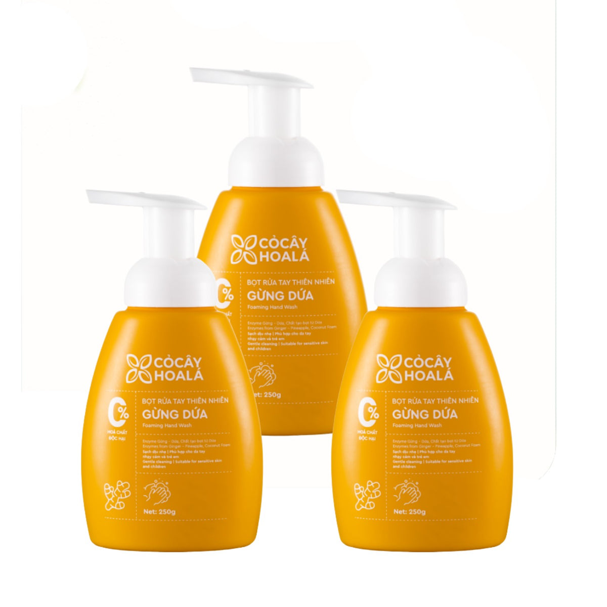 Natural Ginger Pineapple Hand Wash Foam