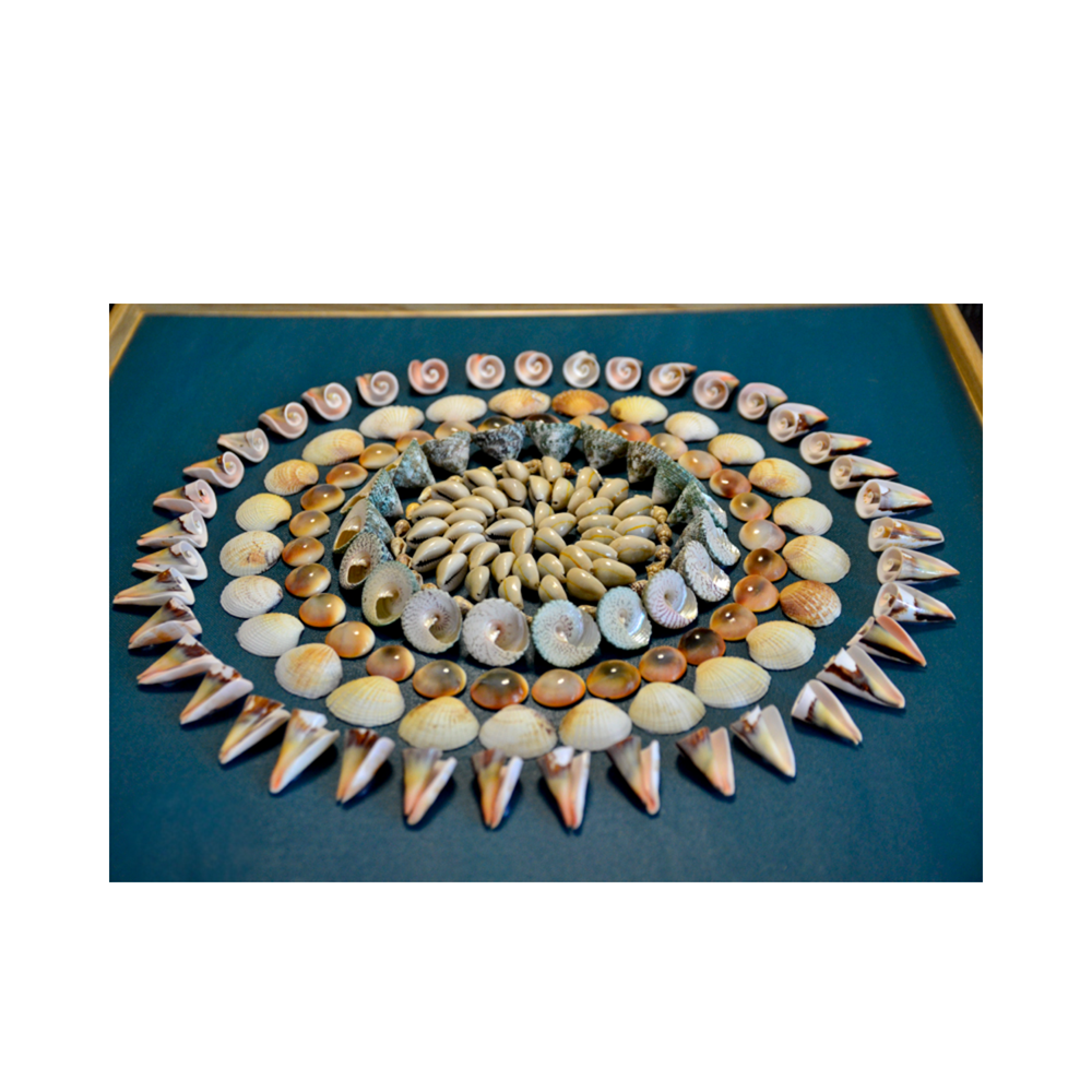 Natural Seashell Art Painting