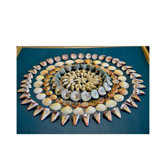 Natural Seashell Art Painting