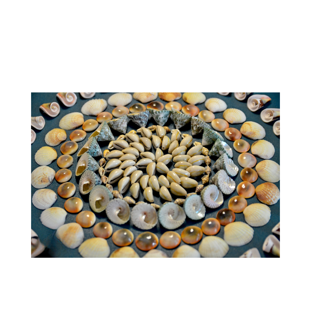 Natural Seashell Art Painting