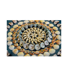 Natural Seashell Art Painting