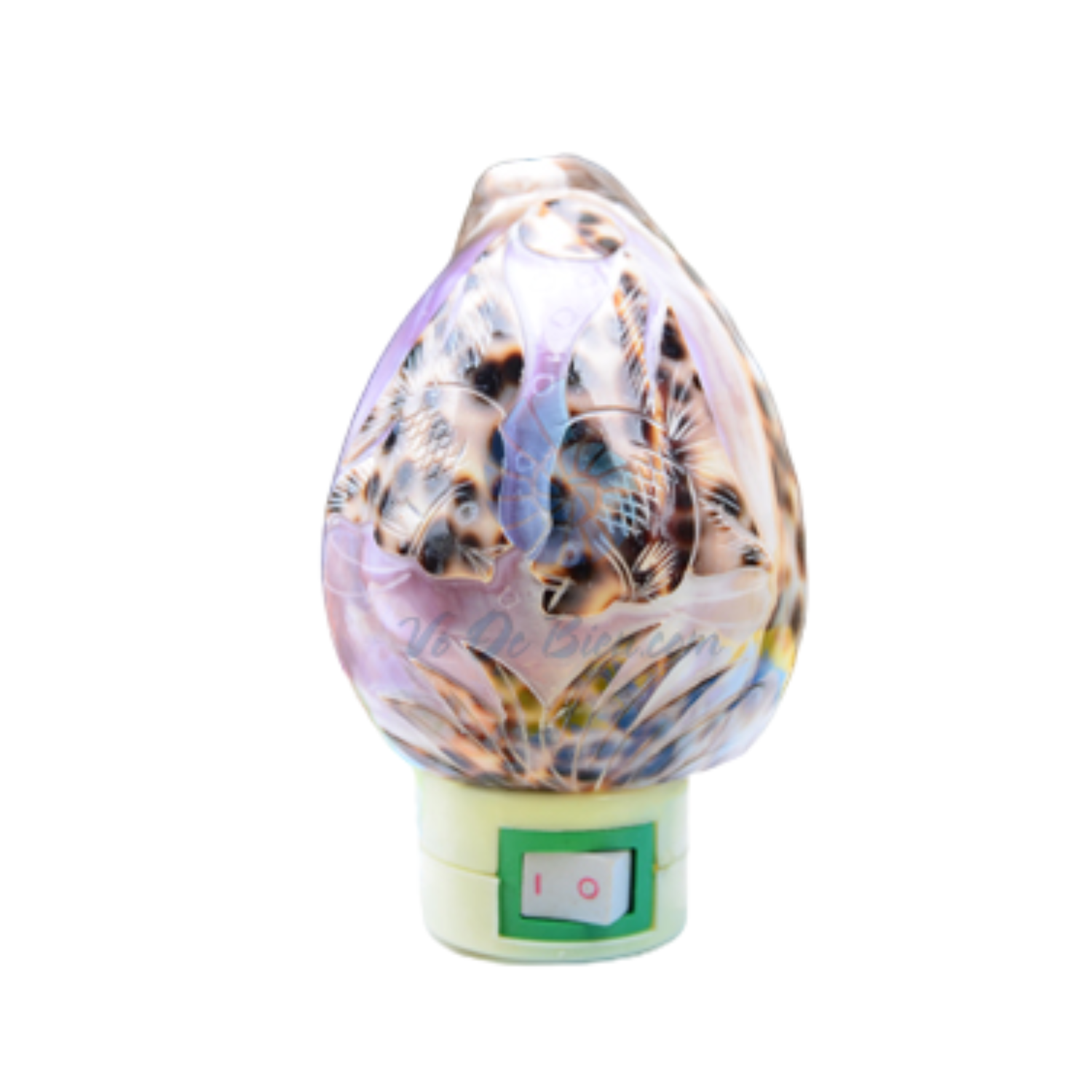 Night Light From Seashell 1