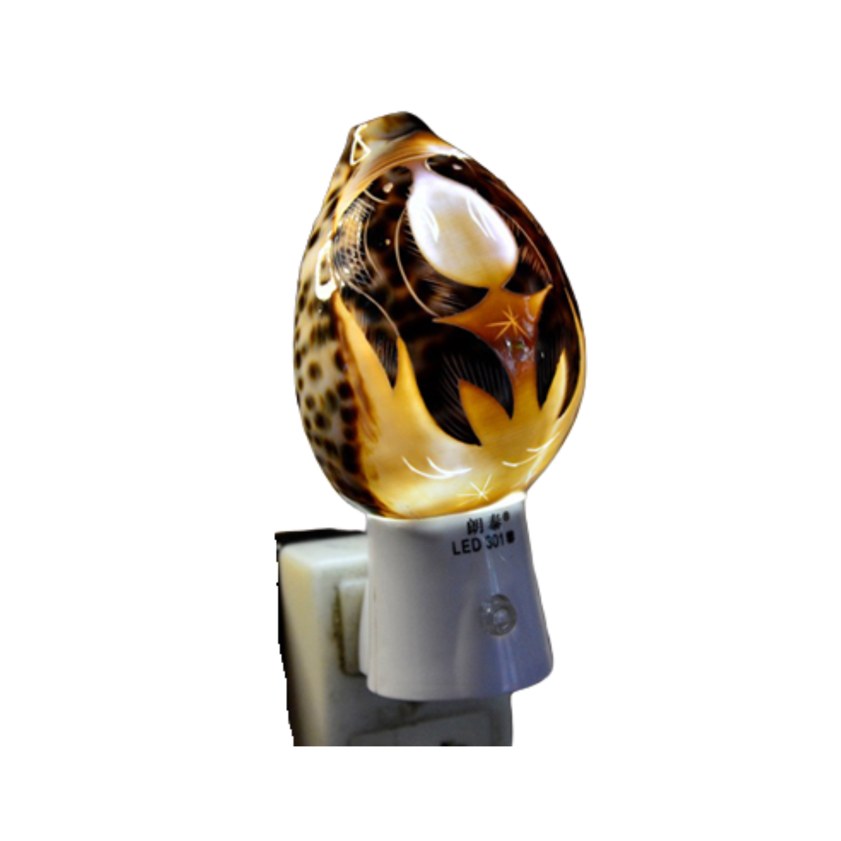 Night Light From Seashell 1