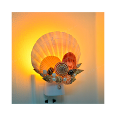 Night Light From Seashell
