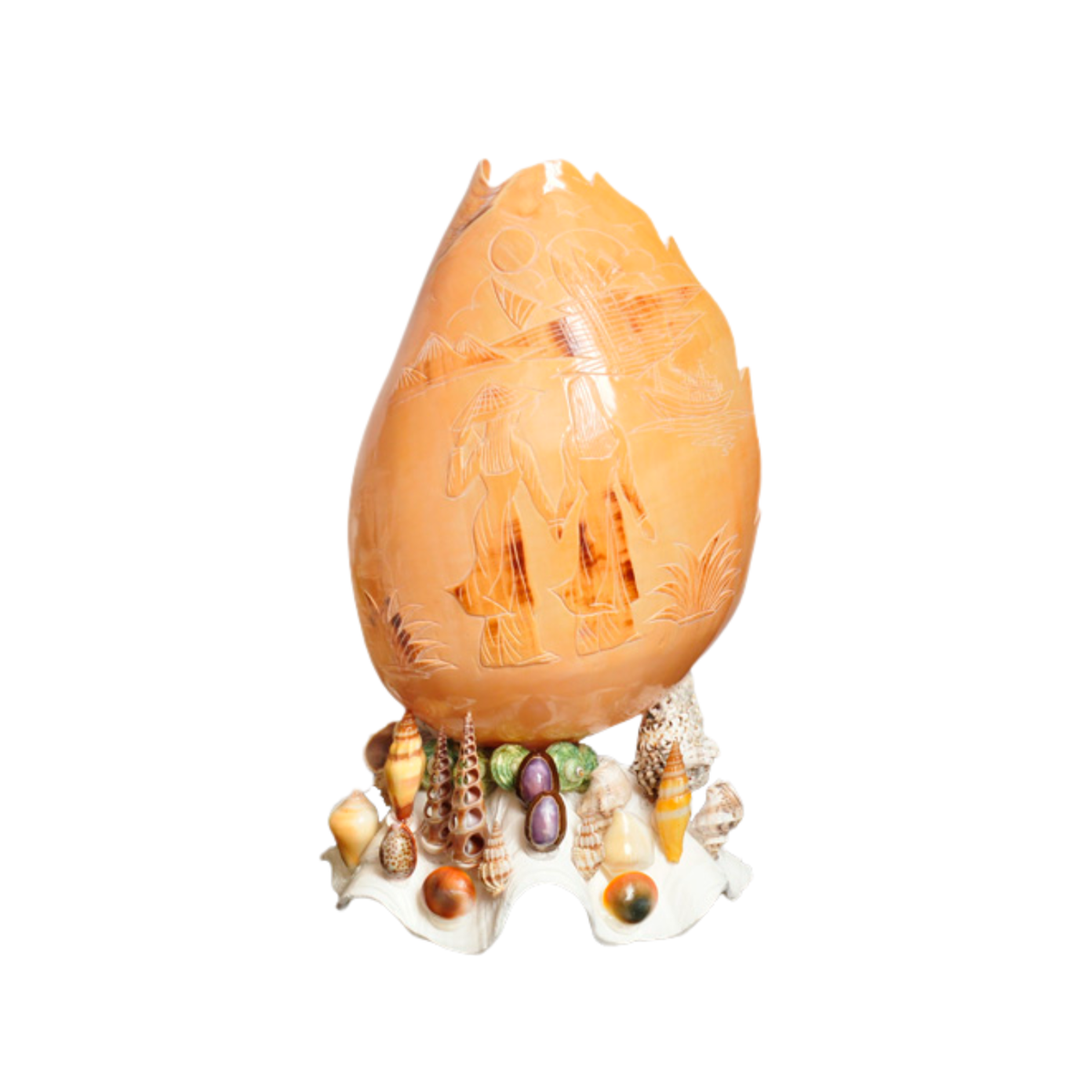 Night Light From Seashell 2