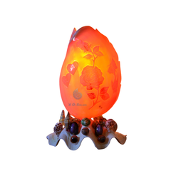 Night Light From Seashell 2