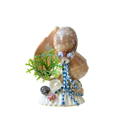 Octopus From Sea Snail Shells