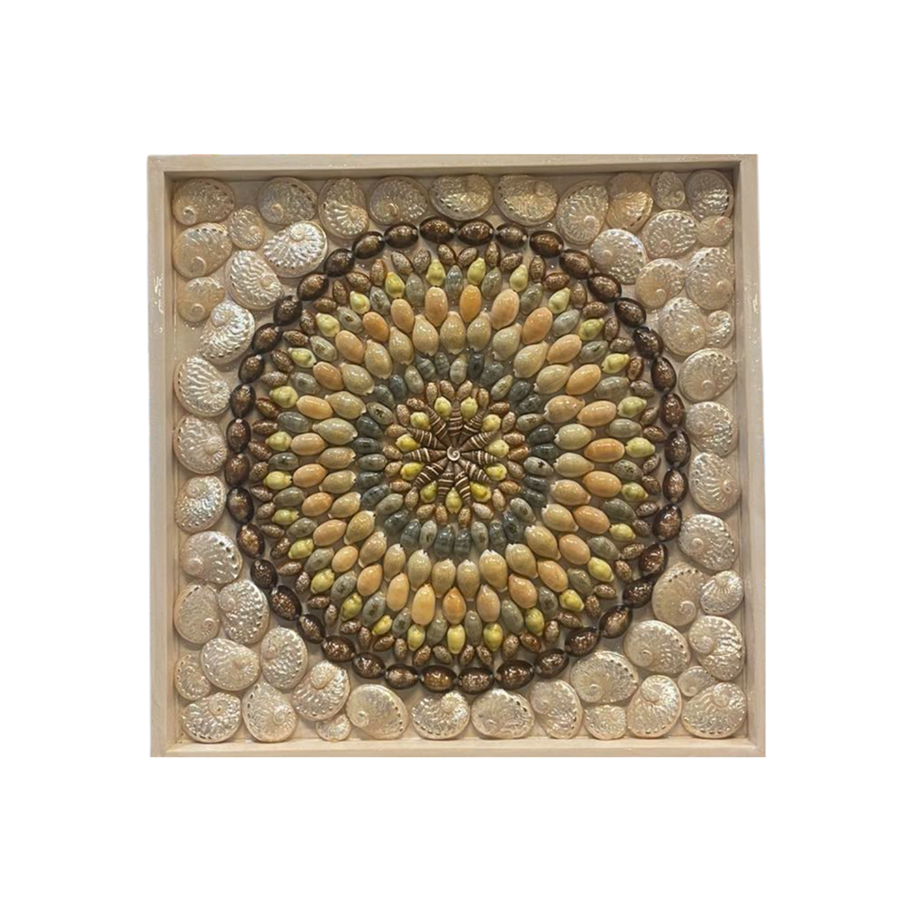 Painting From Various Sea Snails