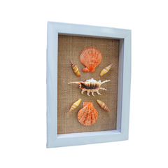 Painting From Various Seashells