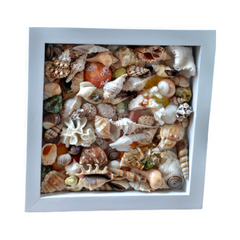 Painting From Various Seashell